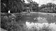 鄭州碧沙崗公園景區升級全面完工