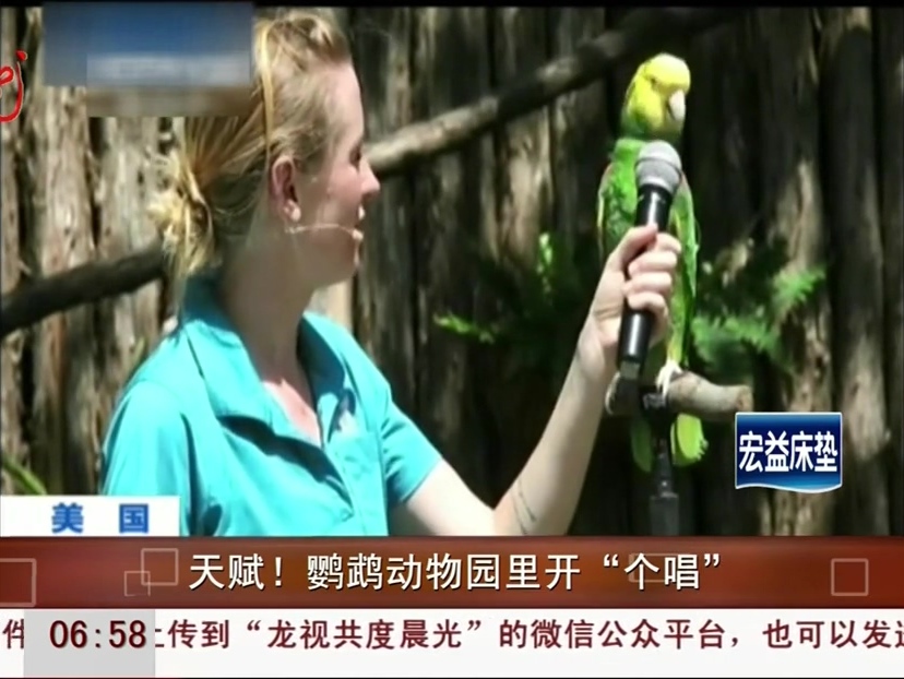 鸚鵡動物園里開“個(gè)唱”