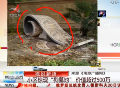南京某小區現豪華狗墓地 價值超500萬