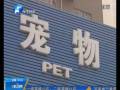 春節臨近 寵物寄養升溫