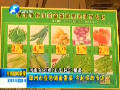 鄭州市應(yīng)急儲(chǔ)備蛋菜 今起投放市場