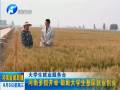 鄭州：考生辦臨時身份證立等可取