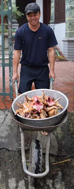 越南貓肉餐廳：將貓淹死、剝皮、切成小塊，再油炸